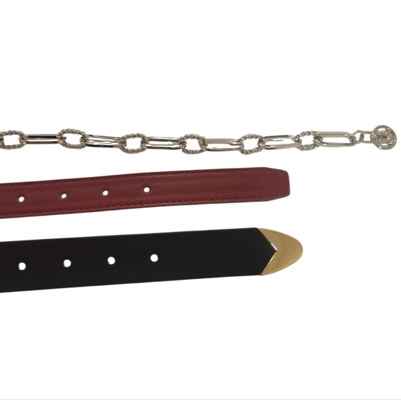 Gold and Silver Buckle Belts Set - Picture 3 of 5